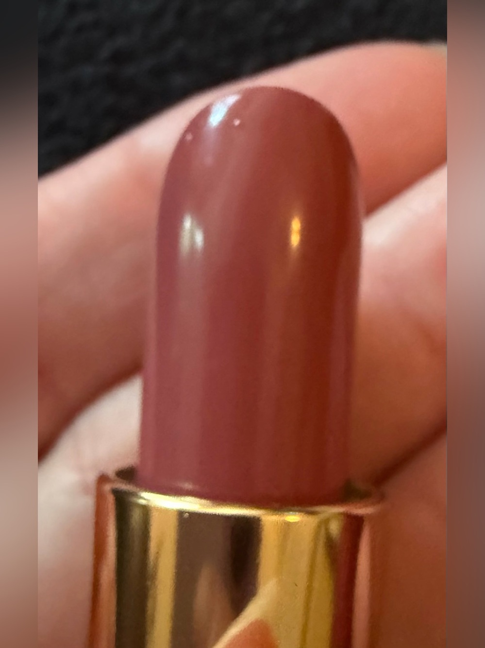NEW! ESTEE LAUDER BROWN LIPSTICK!